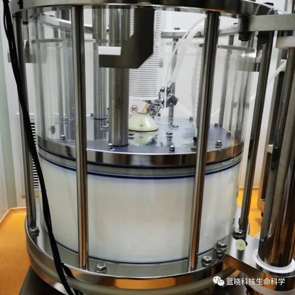 Introduction to Sunresin’s CoreShell Multimodal Chromatography Media