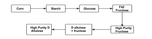 Separation and Purification Solutions for the Production of Allulose ...