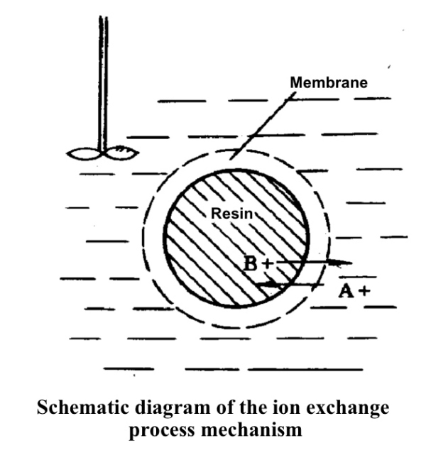 SEPLIFE®, All You Need to Know about Ion Exchange Chromatography Sunresin